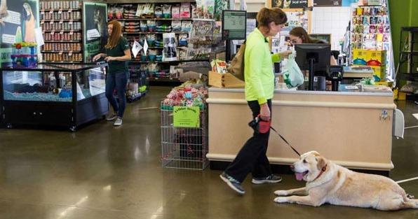 The Pet Supplies Plus Franchise is located in Phoenix, AZ