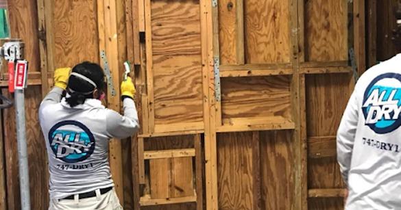 An All Dry Franchise is Creating a Splash in Another New Texas Market