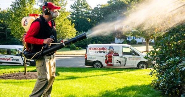 Mosquito Shield Franchise Buzzing in Galveston and Pearland