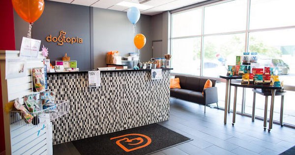 IFPG Consultant Helps Close a New Dogtopia Franchise Deal