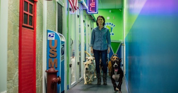 Hounds Town USA Franchise and IFPG Consultant Close a Deal