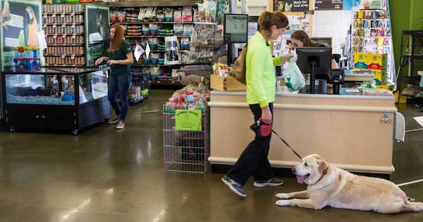 Pet Supplies Plus Franchise Closes a Deal in Texas - IFPG