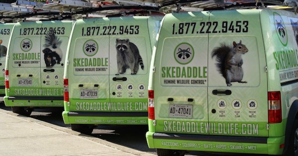 IFPG Consultant Helps Skedaddle Franchise Expand in Spring