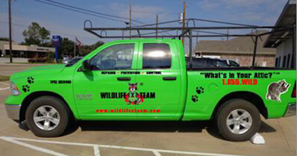 Wildlife X Team International Recently Closed Deals - IFPG